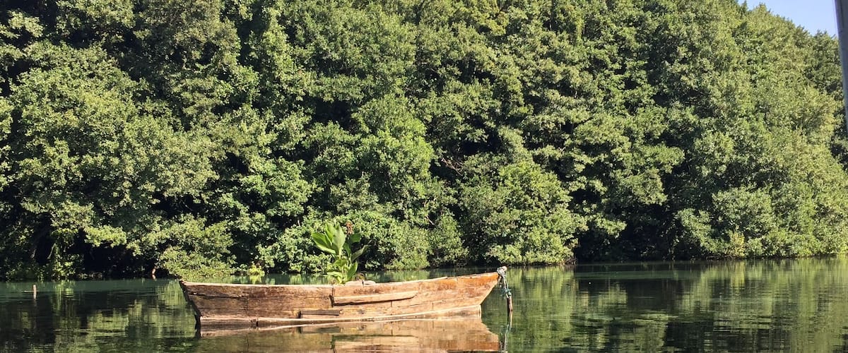 So amazingly beautiful