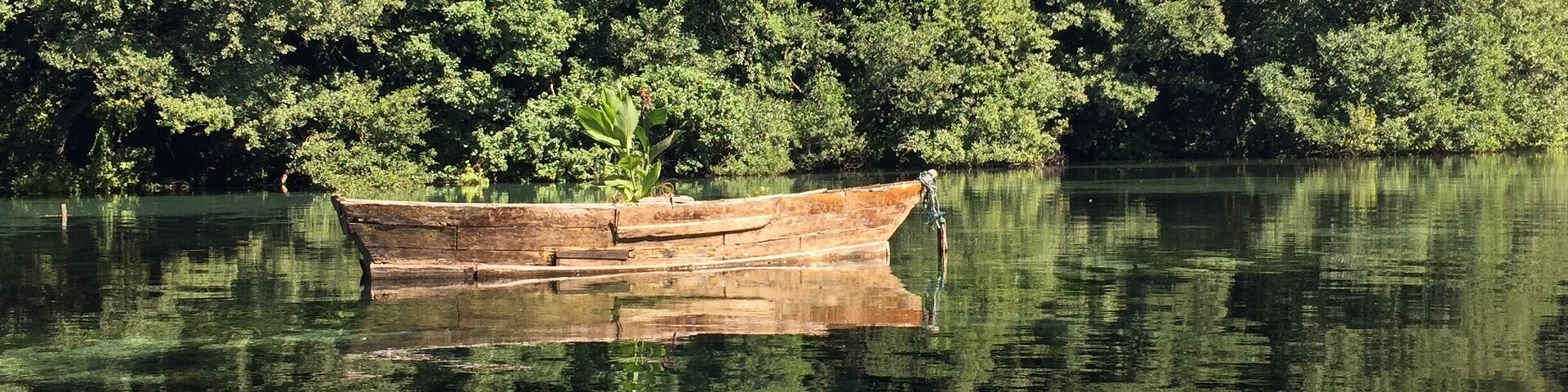 So amazingly beautiful