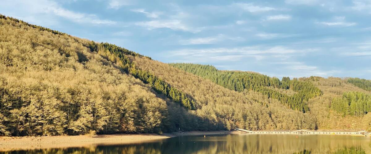 A calm lake reflecting the surrounding hills and sparse trees.