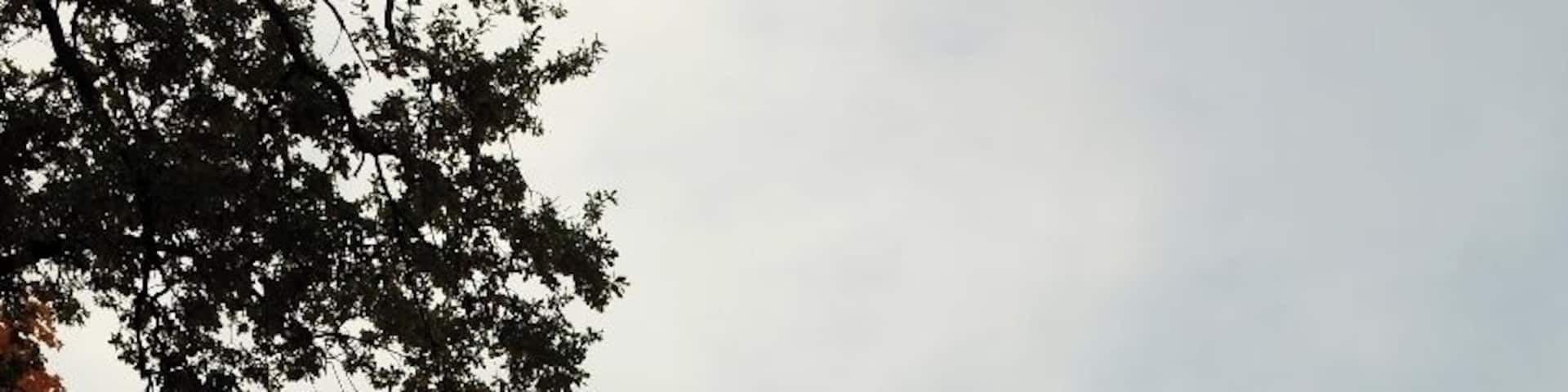 Old Church of Seirijai x