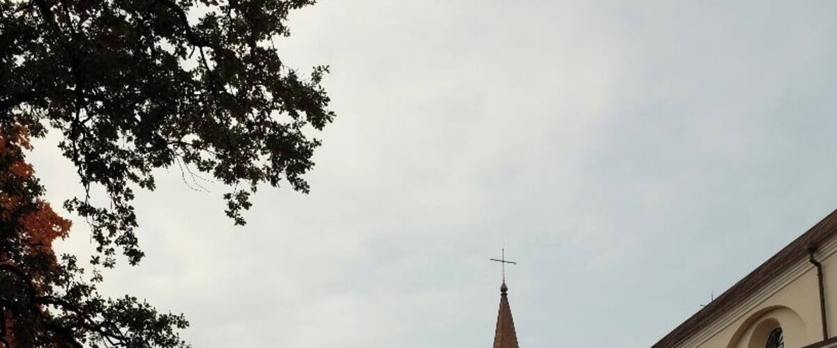 A church with a bell tower and a large tree with autumn leaves.