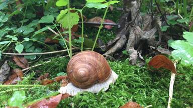 Nature at its finest