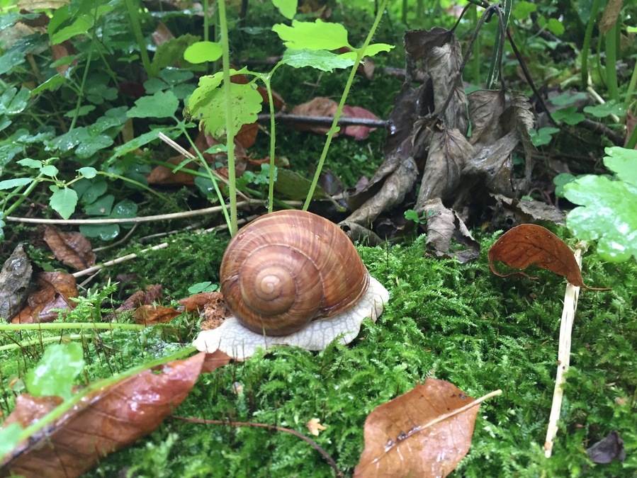 Nature at its finest