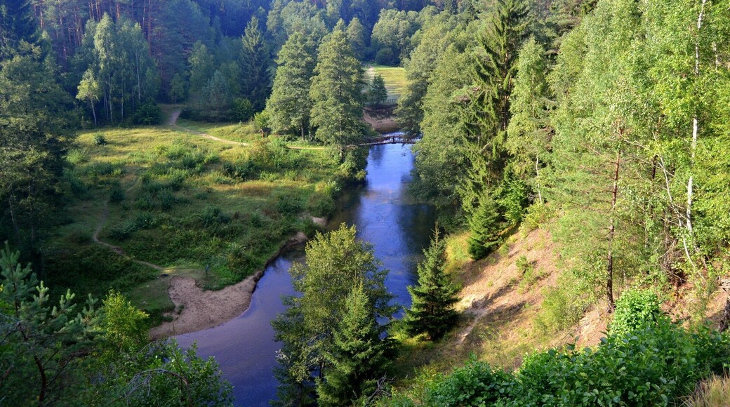 Ula river in the Dzukija National Park popular among canoeists and kayakers