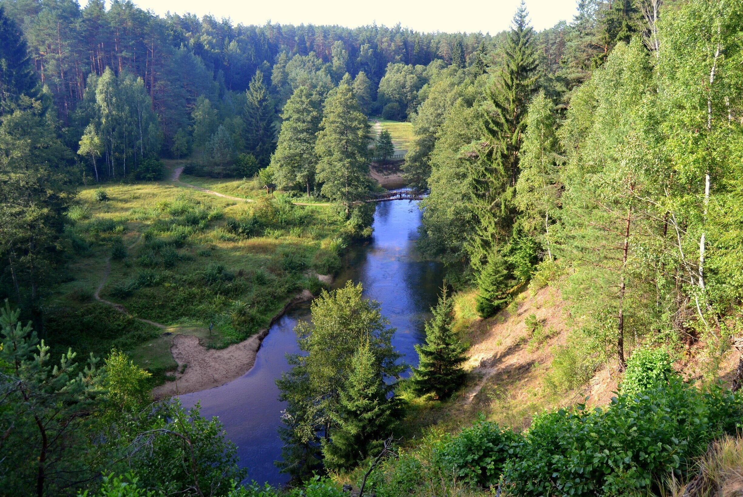 A river winding through a forested valley with a bridge crossing over it.
