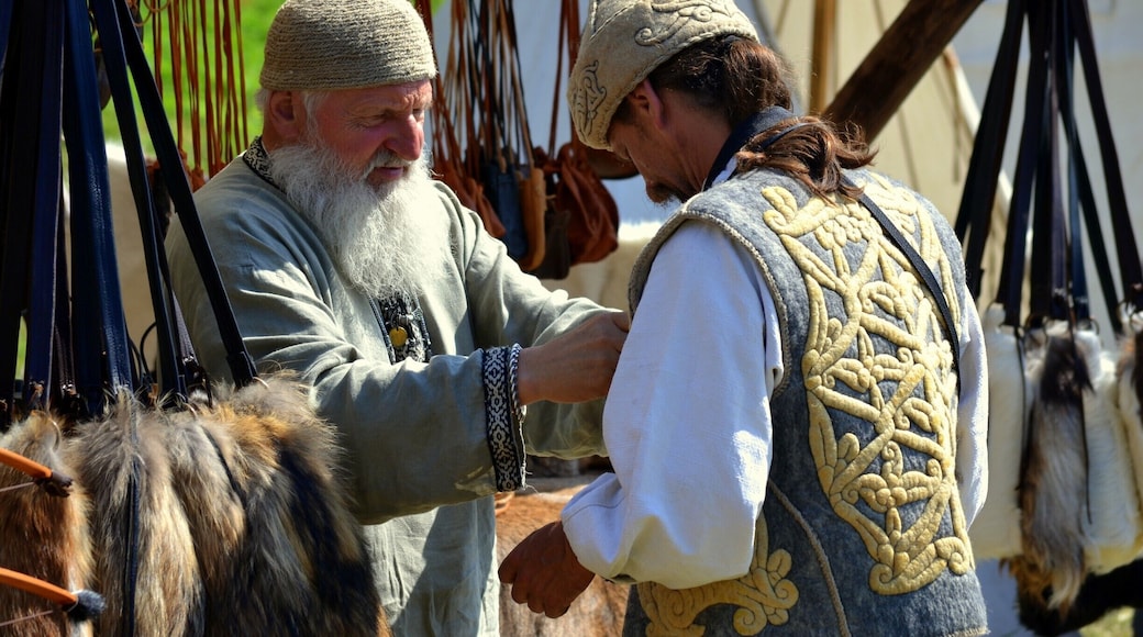 Festival of Experimental Archaeology is held annually in the beginning of July .