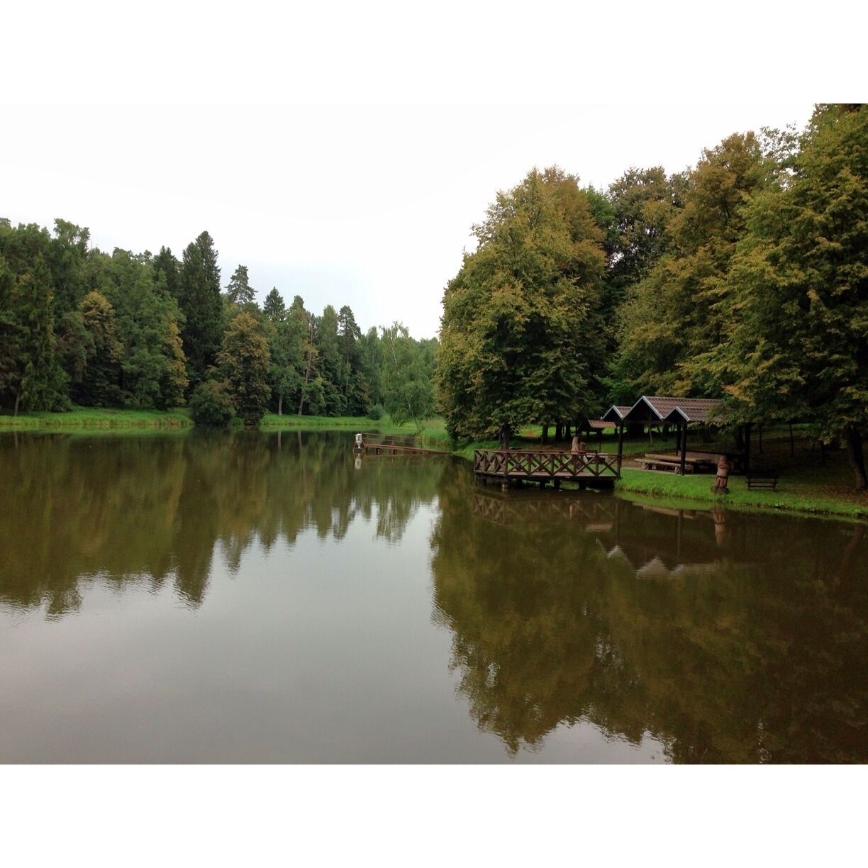 A calm lake with a wooden dock and picnic tables, surrounded by dense trees and a clear sky.