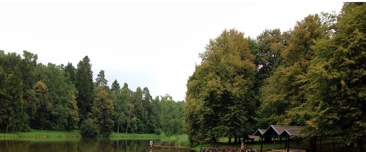 A calm lake with a wooden dock and picnic tables, surrounded by dense trees and a clear sky.
