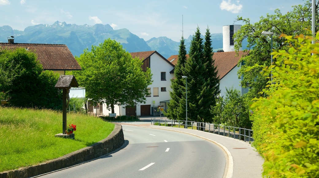 Liechtenstein qui includes scĂšnes de rue et petite ville ou village