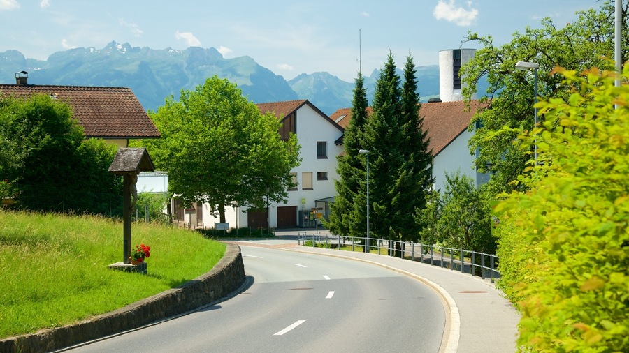 Liechtenstein which includes a small town or village and street scenes