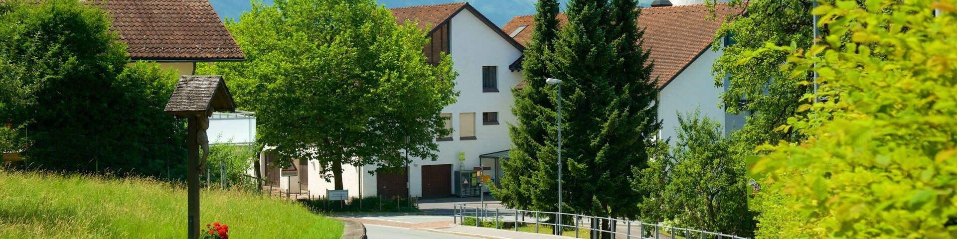 Liechtenstein que incluye una pequeña ciudad o aldea y imágenes de calles