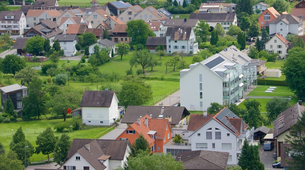 Liechtenstein featuring tranquil scenes and a small town or village