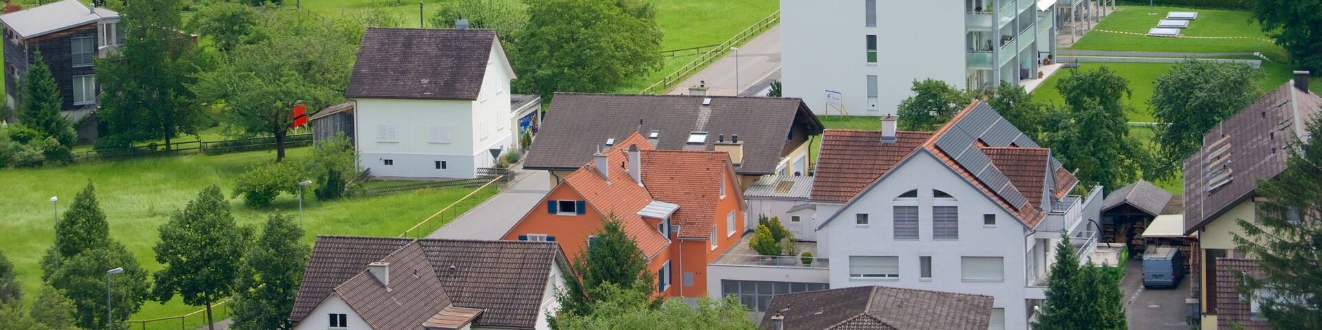 Liechtenstein which includes tranquil scenes and a small town or village