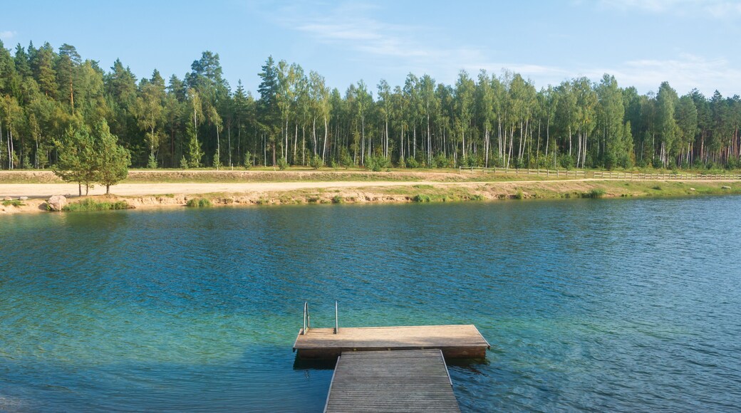 Municipalité d'Ogre