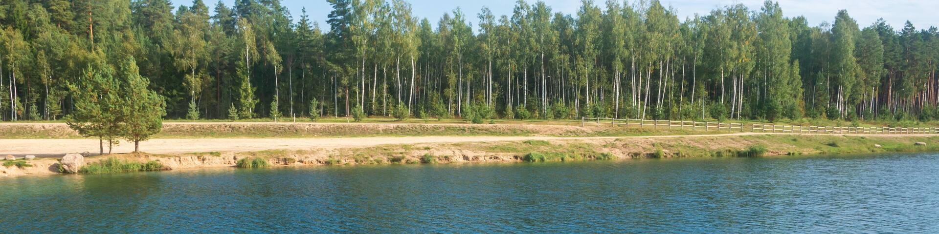 A calm lake with a wooden dock extending into the water, surrounded by a forest of tall trees.