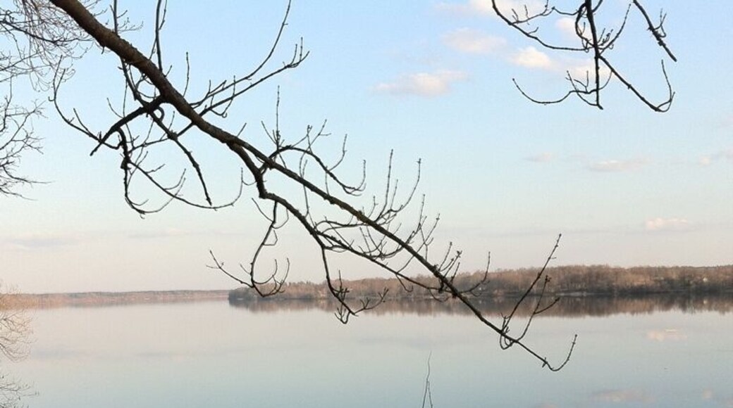 Skaists parks Daugavas krastā