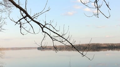 Skaists parks Daugavas krastā