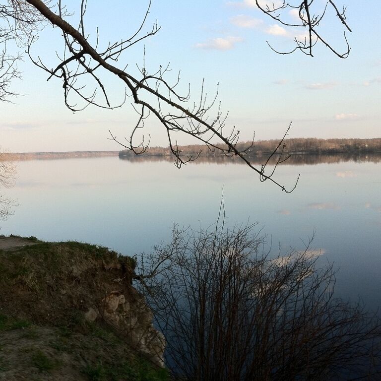 A calm lake with bare branches in the foreground and a distant shoreline.