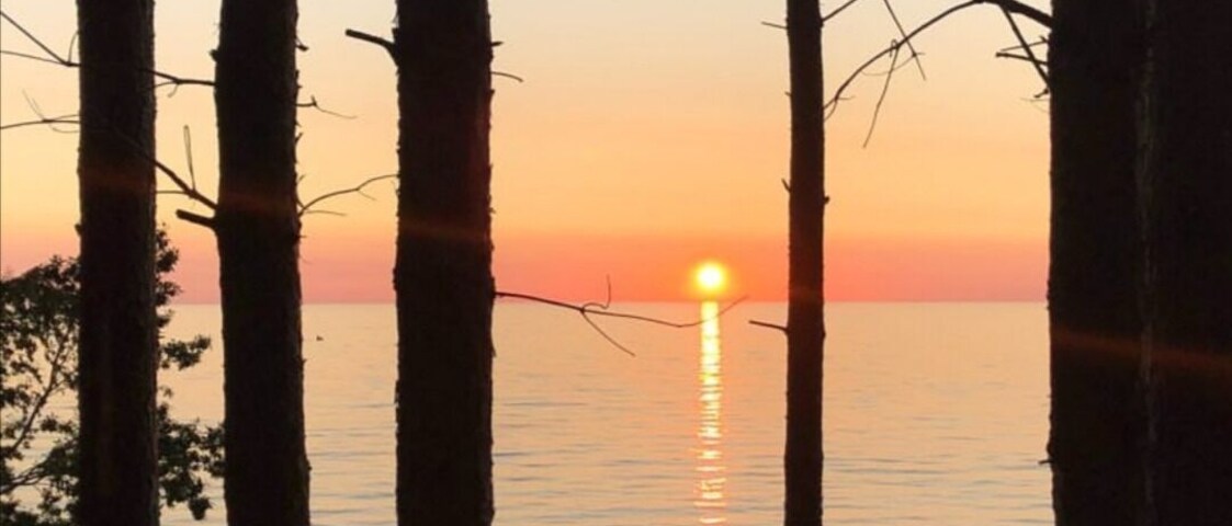 Un atardecer sobre un cuerpo de agua tranquilo, con altos y delgados árboles en primer plano.