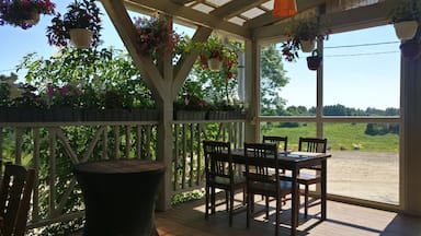 Excellent food and service. Friendly. Clean.Will be back definitely!
#OrbitzTravel