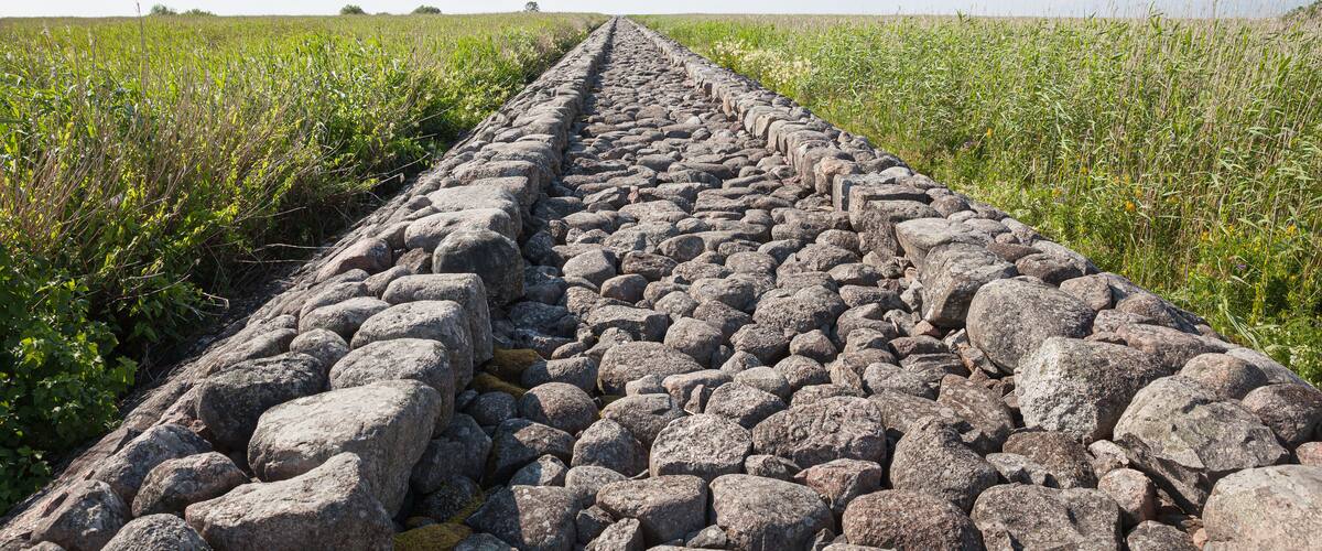 A stone pathway through a field.