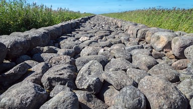 A stone pathway lined with large rocks, leading through a grassy field.