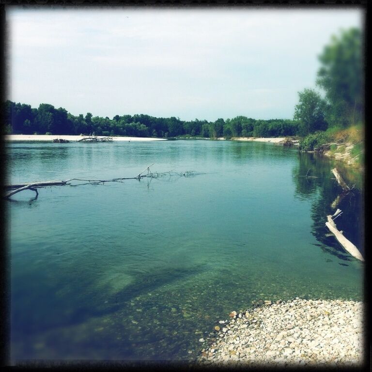A river with clear water, a rocky shore, and a forested area in the background.
