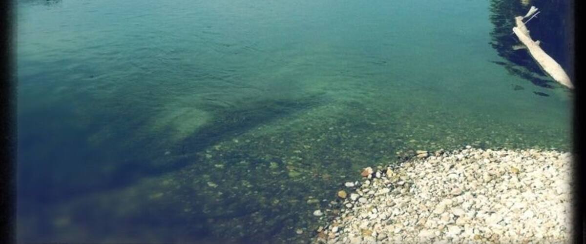 A river with clear water, a rocky shore, and a forested area in the background.