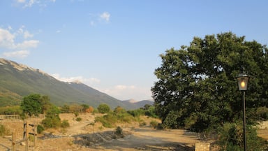 Un sendero de tierra que atraviesa un paisaje rural, con un árbol grande a la derecha y montañas al fondo.