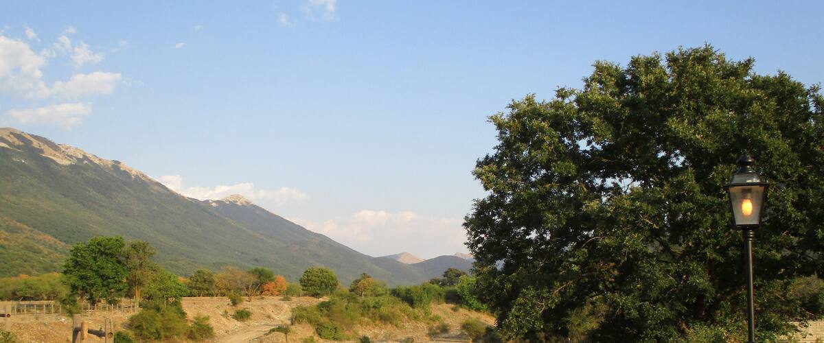 A dirt path leading through a rural landscape with a large tree on the right and mountains in the background.