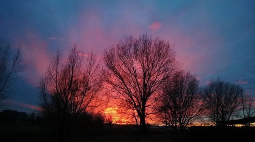 This is a picture I took while studying in my bedroom and suddenly noticed there was a special light incoming.
Then I went to the window and I was like.. wow. Speechless.