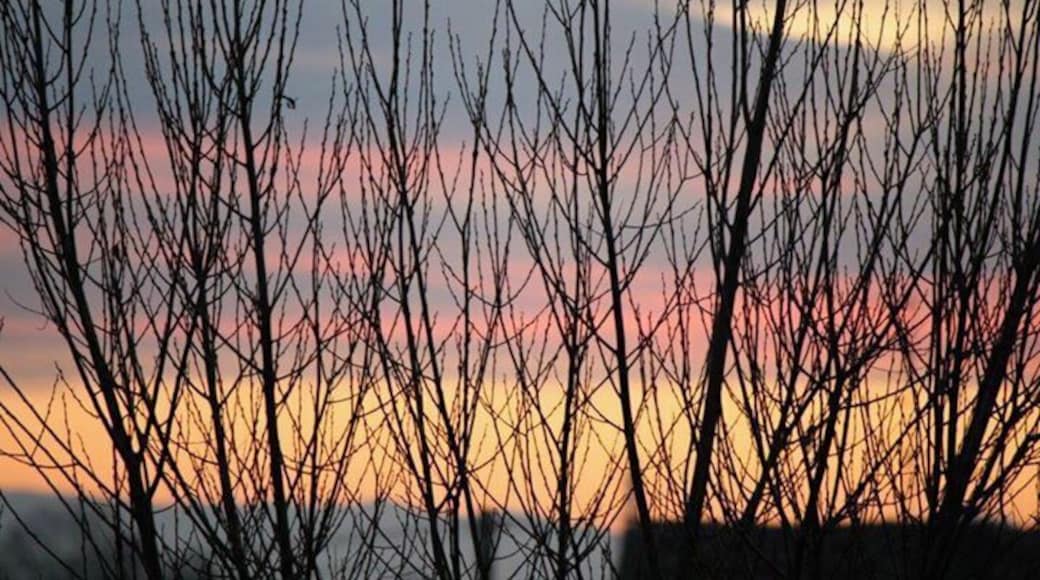 Who said winter is cold?