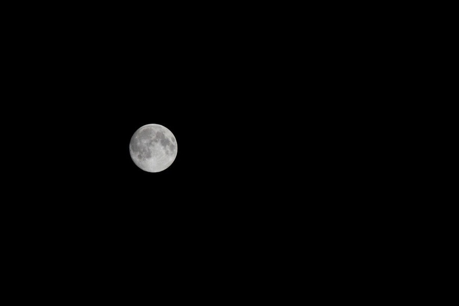 Dancing in the moonlight.