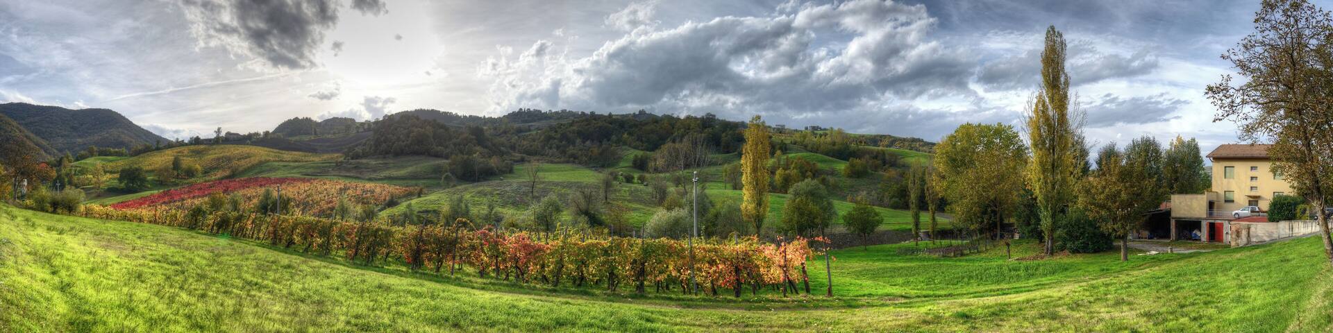Autunno - Bettola, Vezzano sul Crostolo (RE) Italia - 29 Ottobre 2013