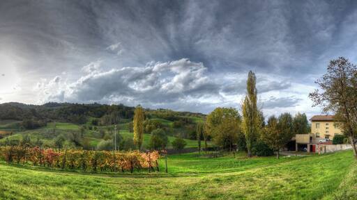 Autunno - Bettola, Vezzano sul Crostolo (RE) Italia - 29 Ottobre 2013