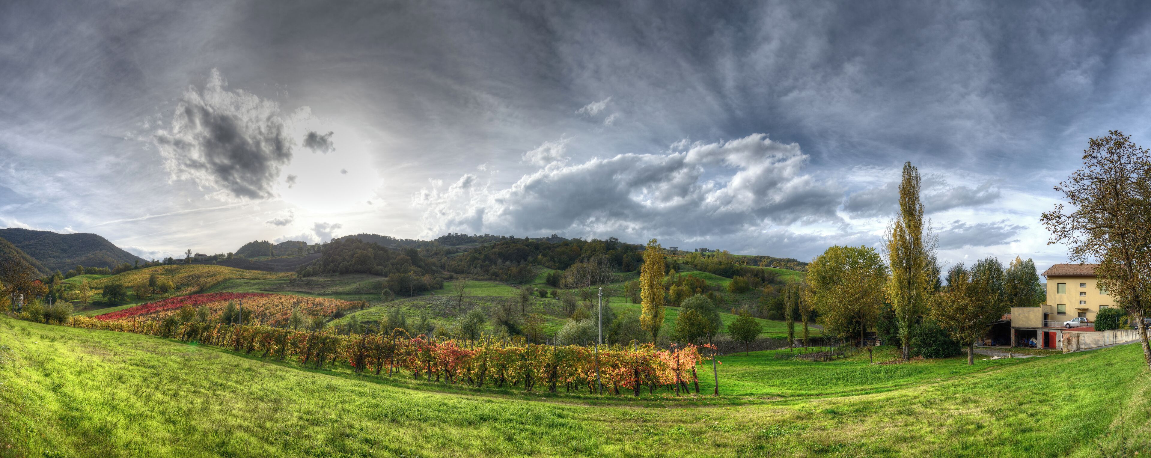 A vineyard, rolling hills, and a house.