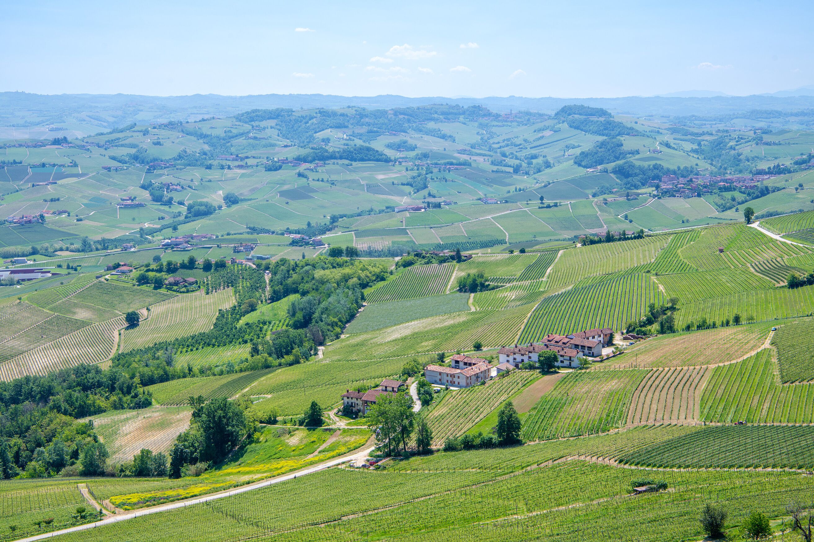 Aerial view of vineyards near Verduno, Piedmont, Italy