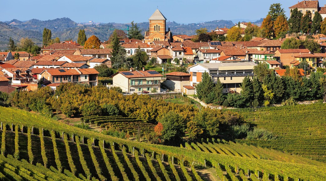 Small town and autumnal vineyards in Piedmont, Italy.