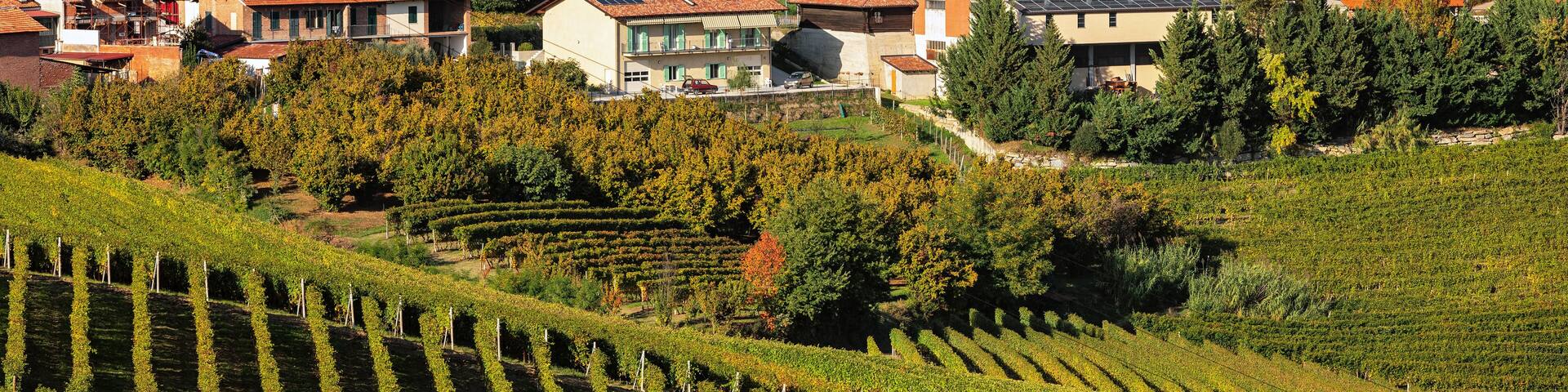 Small town and autumnal vineyards in Piedmont, Italy.