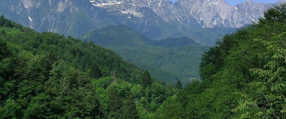 A mountain range with snow-capped peaks and dense forested valleys.