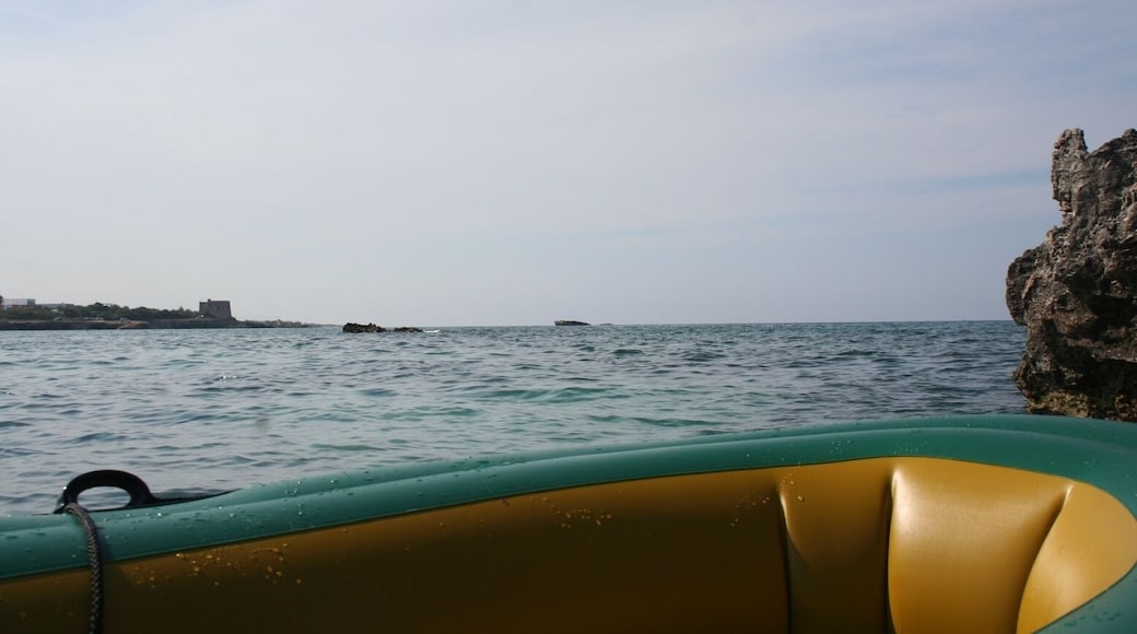 torre specchia rocce emerse