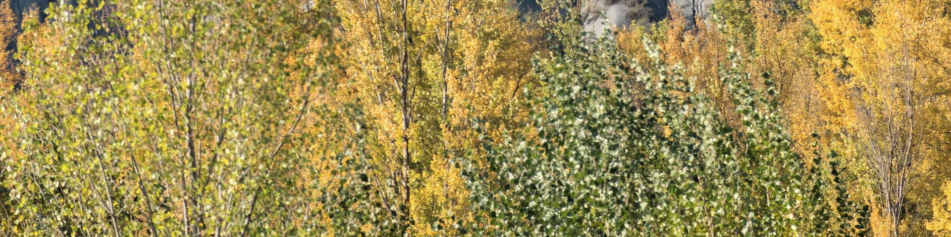 Badlands - Fora, Toano, Reggio Emilia, Italy