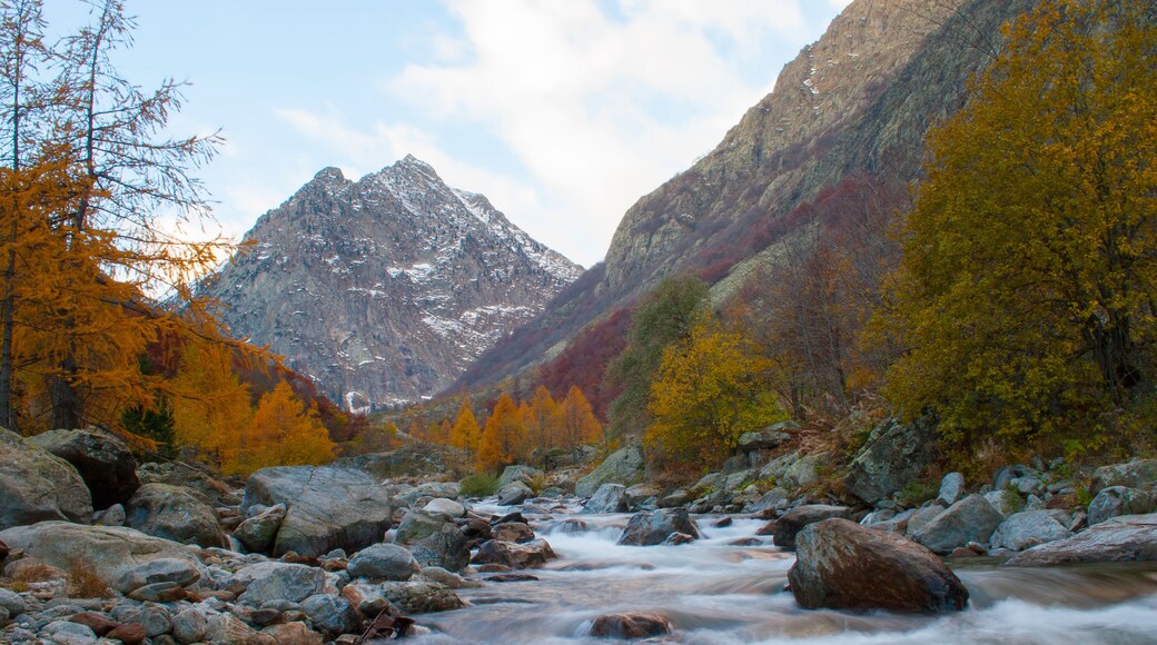 il fiume Gesso in Autunno