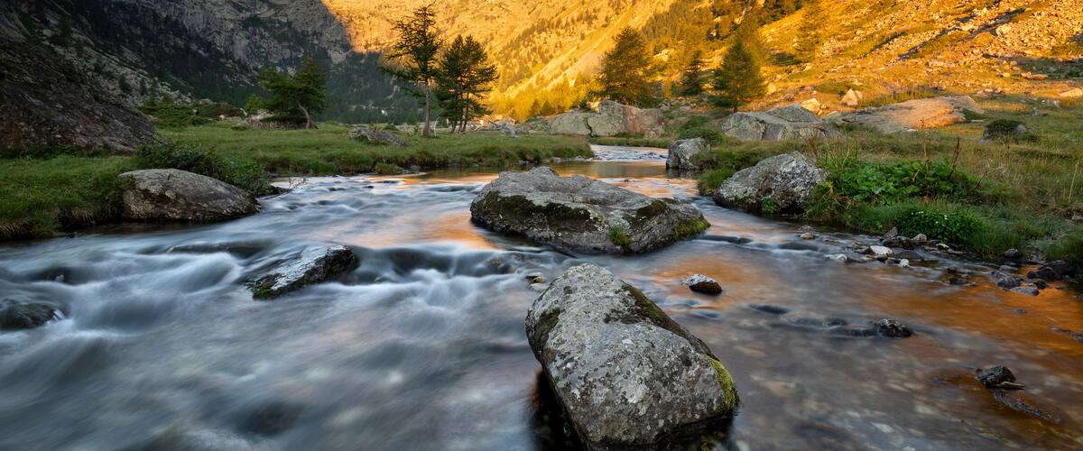 A mountain stream with large rocks, surrounded by lush greenery and mountains in the background.