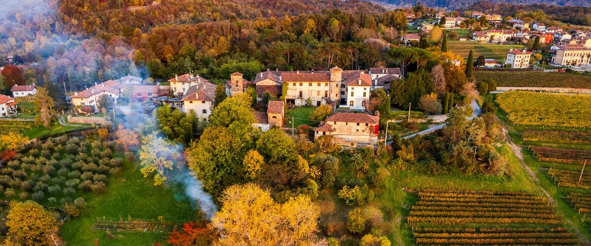 A village with historic buildings surrounded by autumn foliage and vineyards.