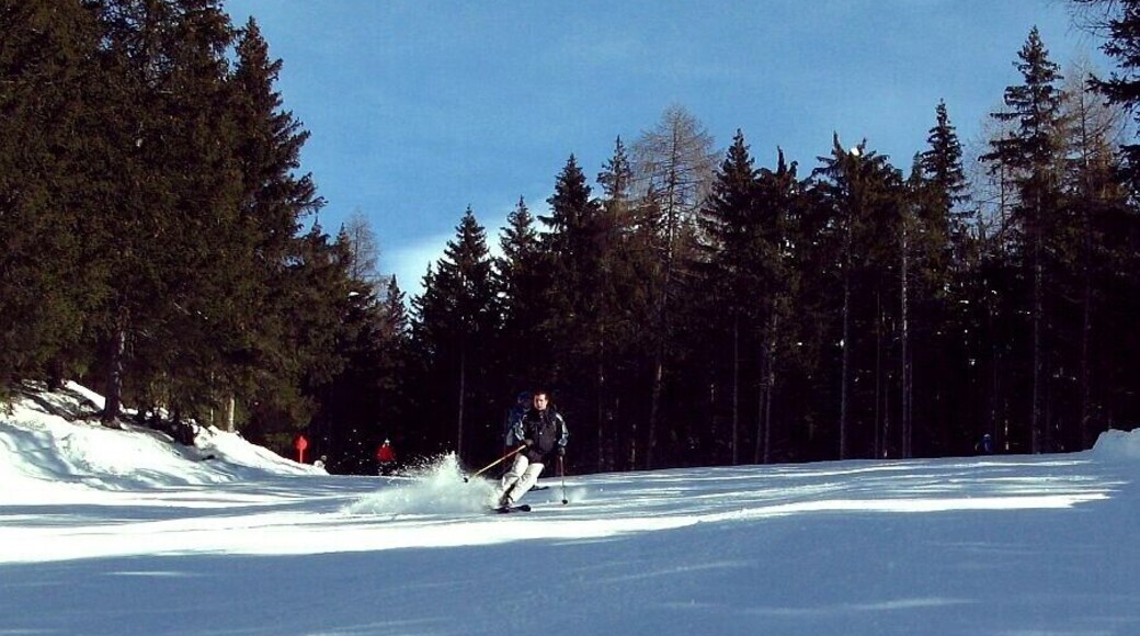 Tonalina* Tonale - Punte di Legno