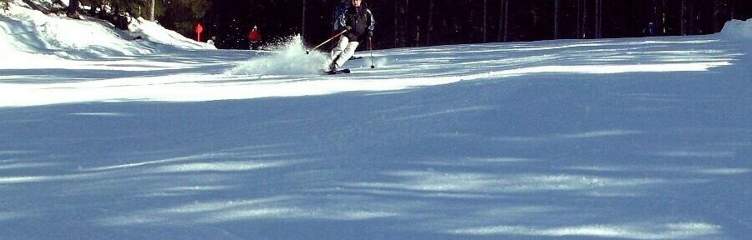Tonalina* Tonale - Punte di Legno