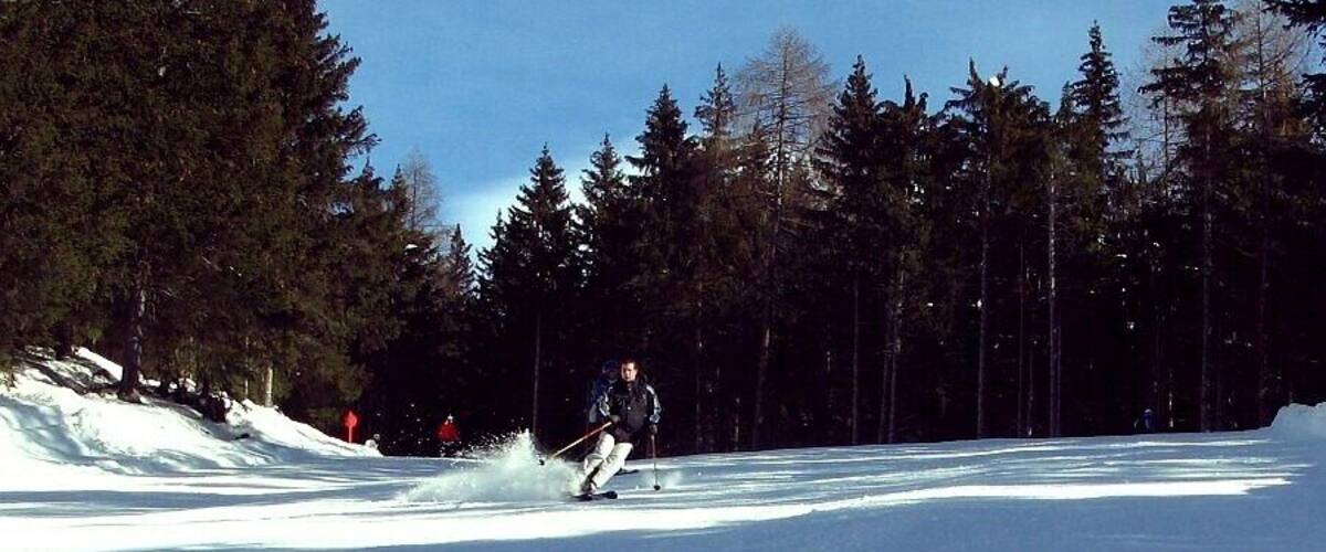 A skier on a snowy slope with trees in the background.