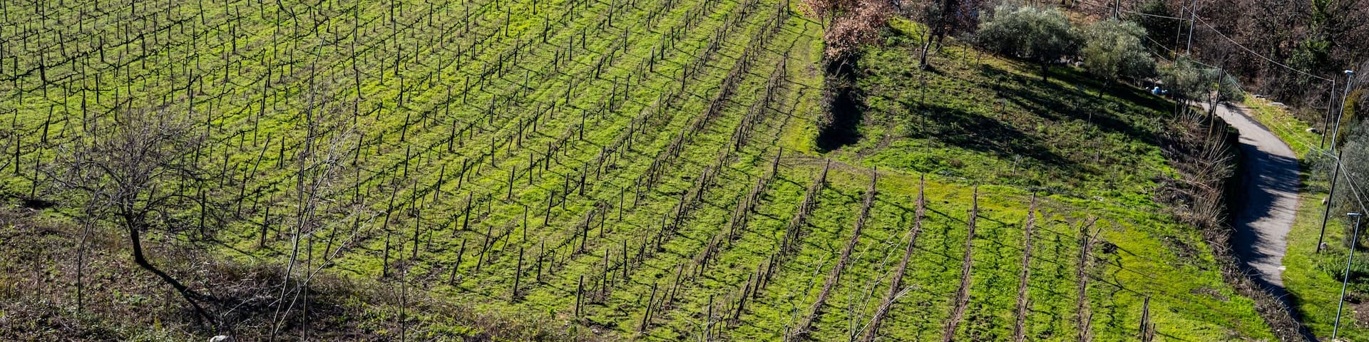 Taurasi, Avellino, Campania, Italy: panorama view of hills and mountains