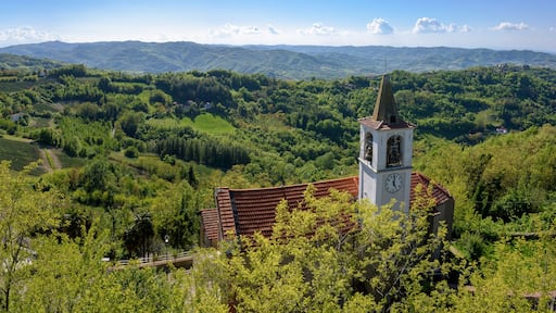 The countryside near Acqui Terme